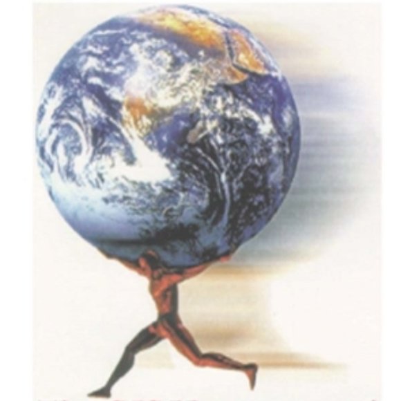 Meet your Posher, Shon - Picture 2 of 2